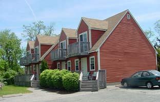Blue Spruce Plymouth